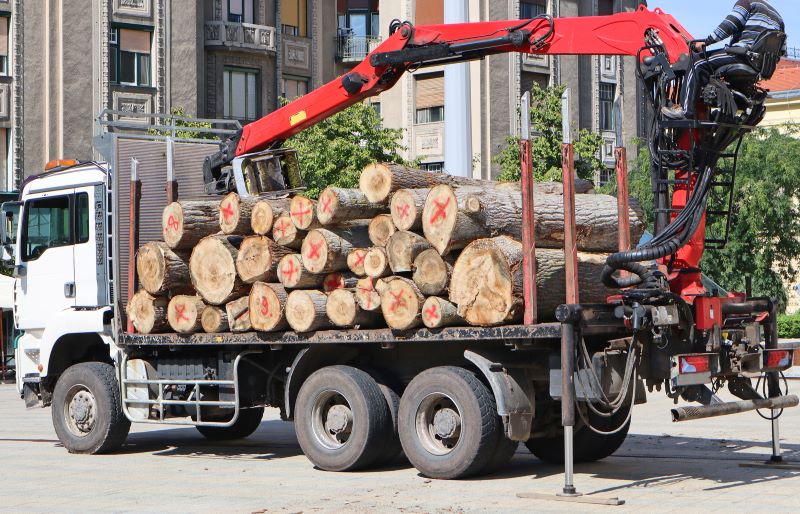 movimentação de carga: caminhão munck carregando troncos de madeira